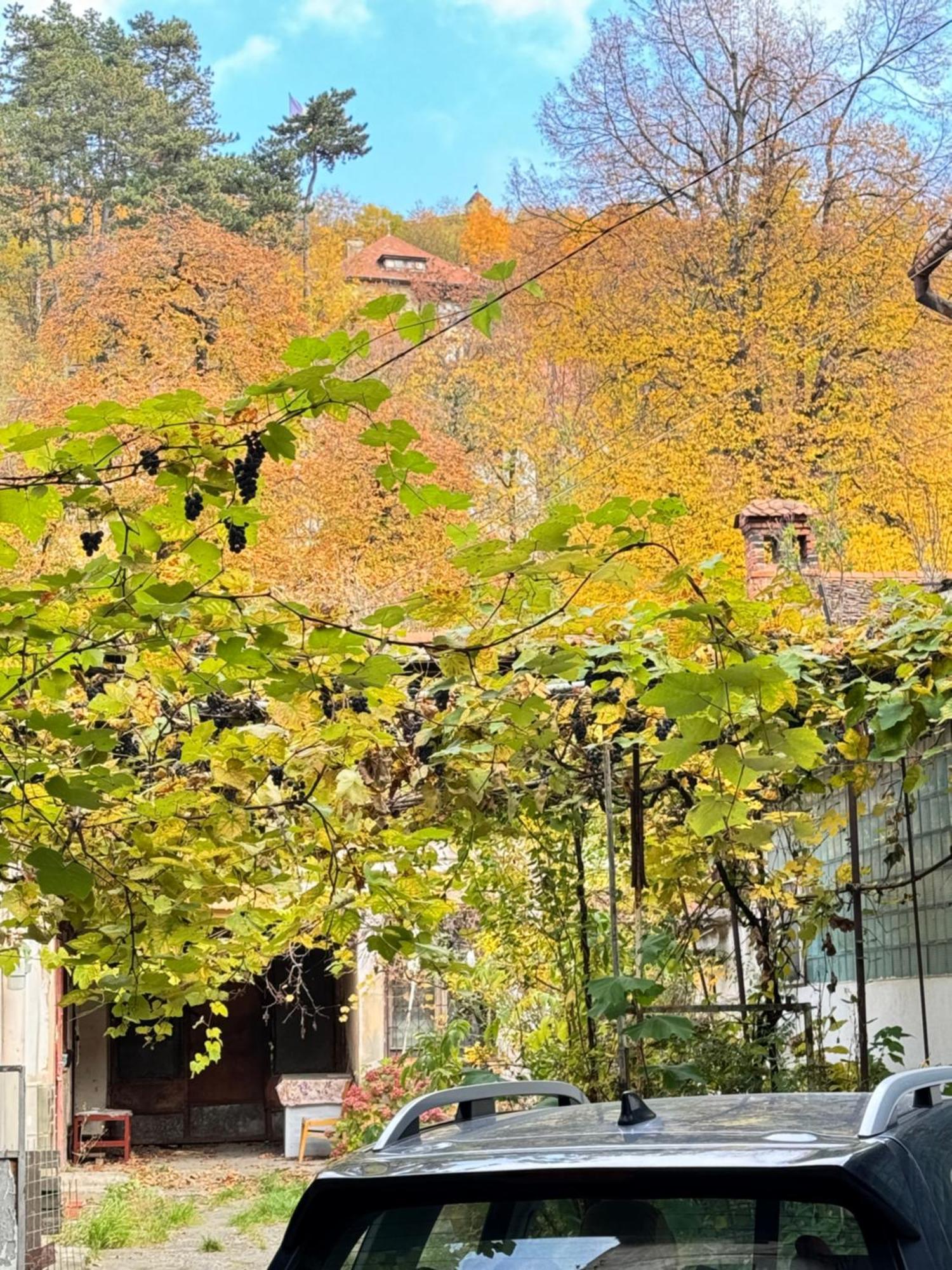 브라쇼브 Casa Ming 빌라 외부 사진