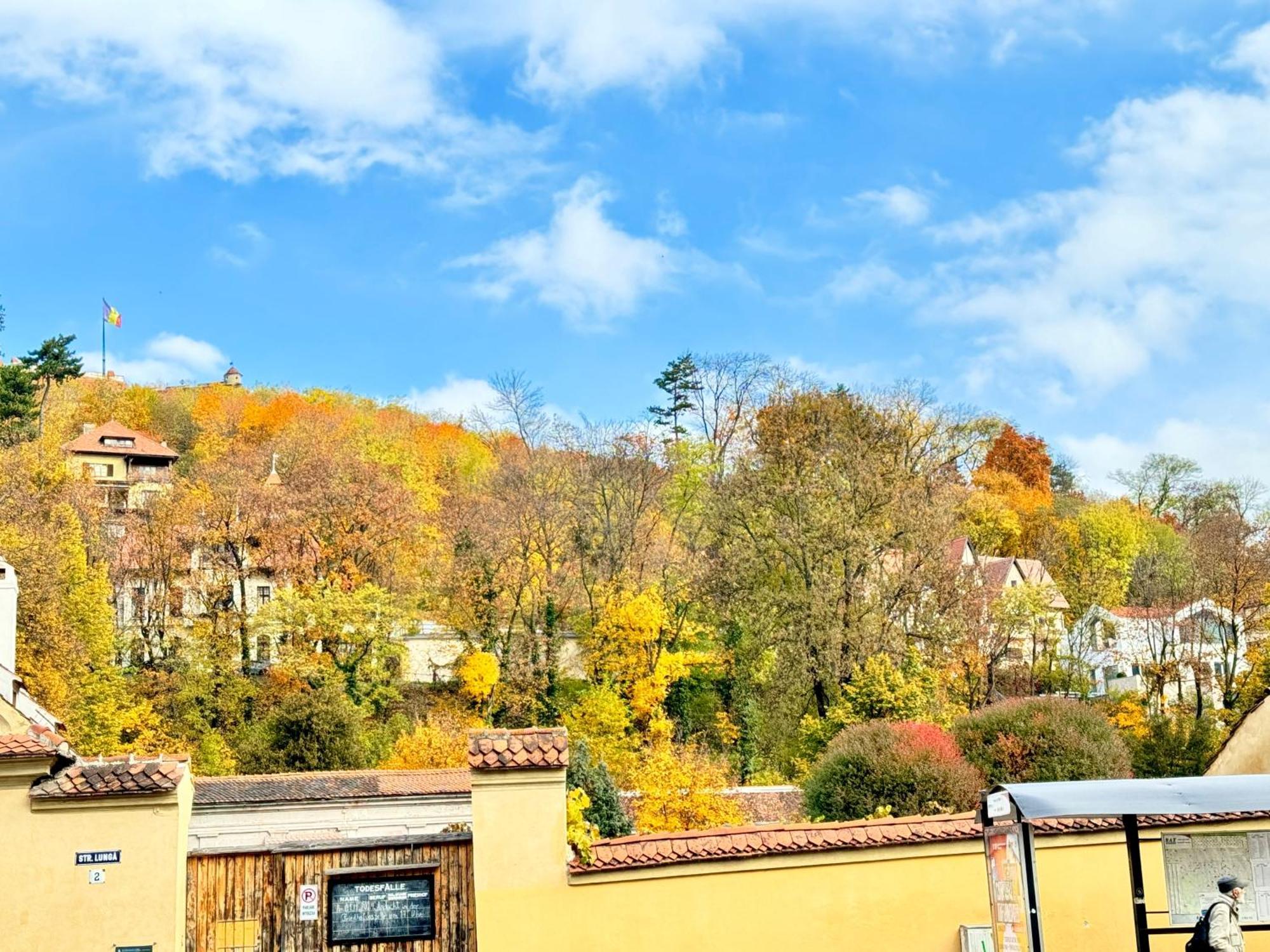 브라쇼브 Casa Ming 빌라 외부 사진